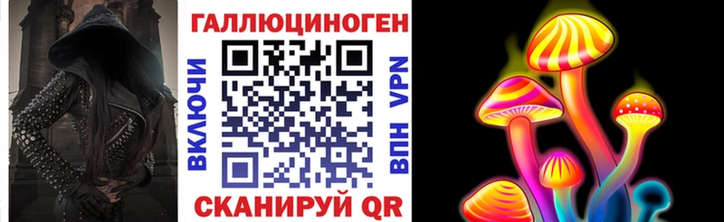 купить наркоту  Хабаровск  Псилоцибиновые грибы Psilocybe 
