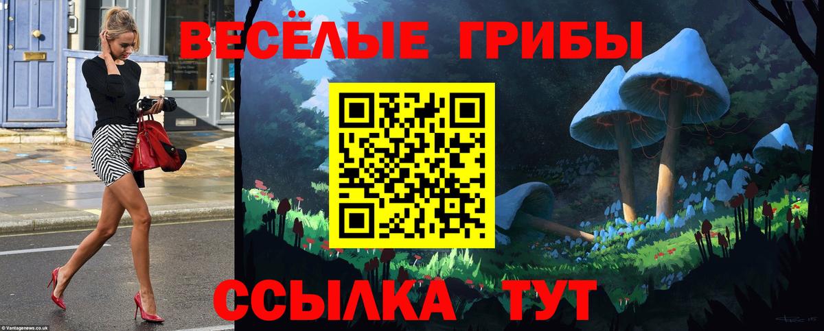 Псилоцибиновые грибы прущие грибы  Вход с VPN  Хабаровск 